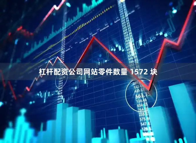杠杆配资公司网站零件数量 1572 块